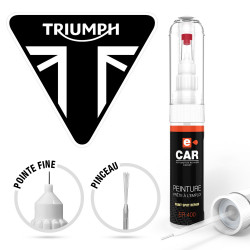 Stylo Retouche Peinture Triumph Moto
