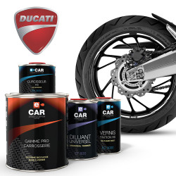 Kit Peinture Jantes Ducati