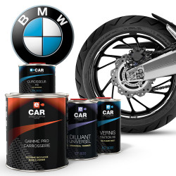 Kit Peinture Jantes BMW Moto