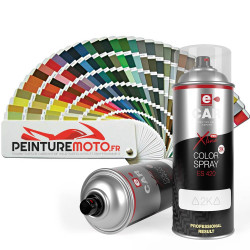 Aérosol de peinture RAL Moto Bicomposants