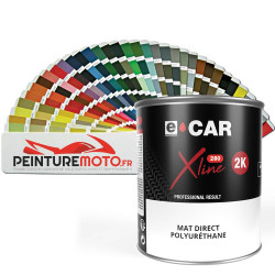 Peinture RAL Mat Direct Polyuréthane