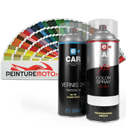 Peinture RAL en bombe & Vernis 2K Pro