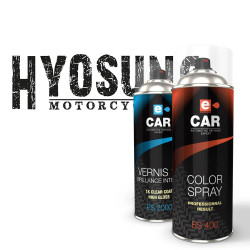 Kit Bombe de Peinture Hyosung + Vernis
