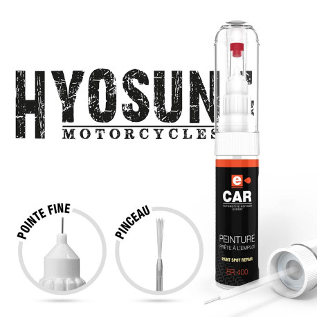 Stylo Retouche Peinture Acura