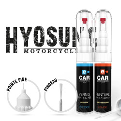 Kit Stylo Retouche Hyosung + Vernis