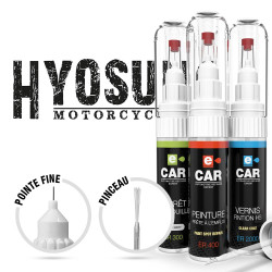Kit Stylo Retouche Hyosung + Apprêt Antirouille + Vernis