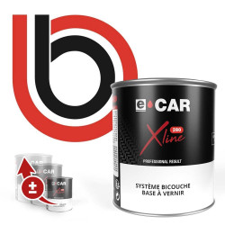 Peinture carrosserie pour moto & scooter Bimota