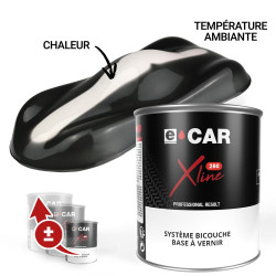 Peinture Thermochromique Noir 31°