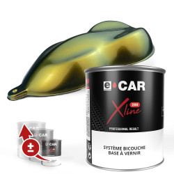 Pot de Peinture Cameleon Pigment Jaune et Verte 