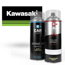 Kit Bombe de peinture Kawasaki + Vernis bicomposants