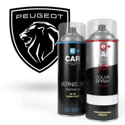 Kit Bombe de peinture Peugeot + Vernis bicomposants