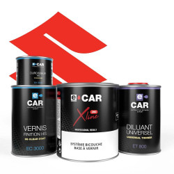 Peinture Suzuki Moto en kit