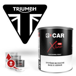 Pot de peinture pour moto Triumph