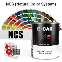 Peinture NCS Solvantée à vernir en pot