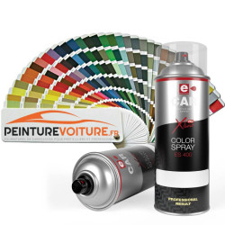 Bombe de peinture RAL Brillant direct 400 m