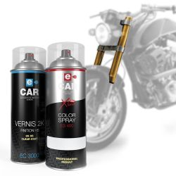 Kit Bombe de Peinture Fourche Moto