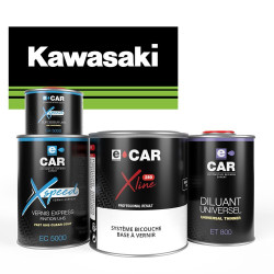 Peinture Kawasaki Moto solvantée pro