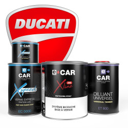 Peinture Ducati Moto Pro en kit