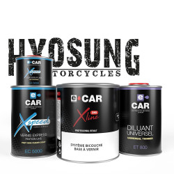 Kit Peinture Hyosung Moto + Diluant + Vernis Rapide