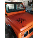 Peinture Warrior Teintable type Raptor