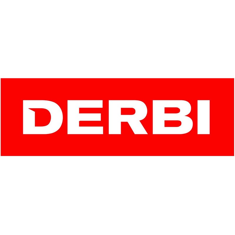 Peinture Derbi