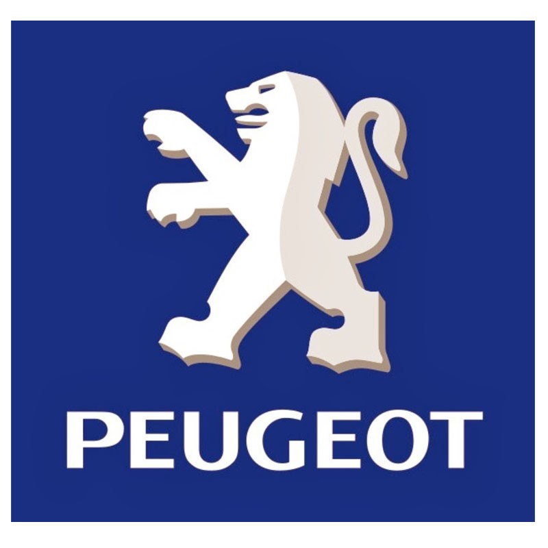 Peinture Peugeot