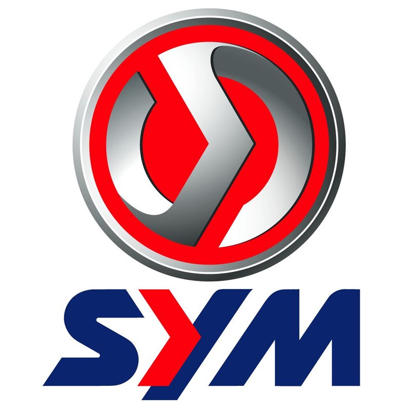 Peinture SYM